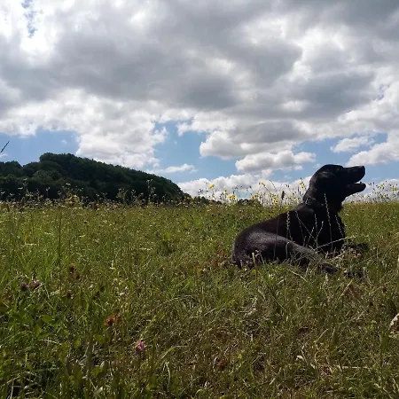Casa vacanze Charmantes Mit Naturgarten