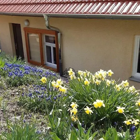 Holiday home Charming With Natural Garden Unterweid