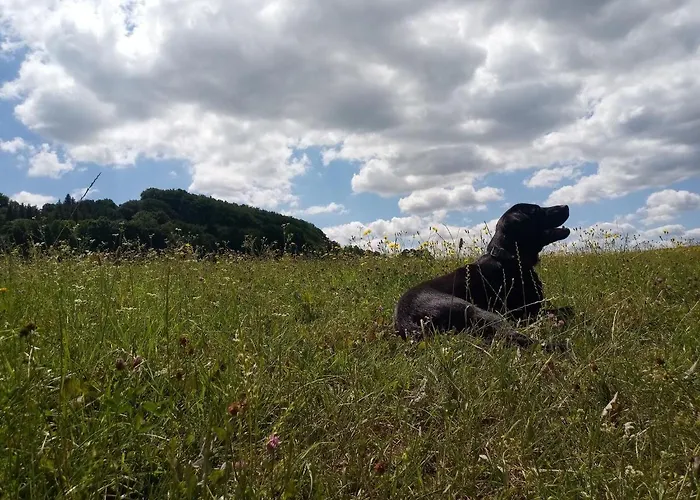 Tatil Evi Charmantes Mit Naturgarten