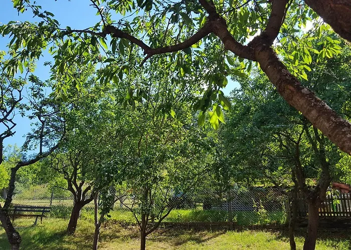 Tatil Evi Charmantes Mit Naturgarten