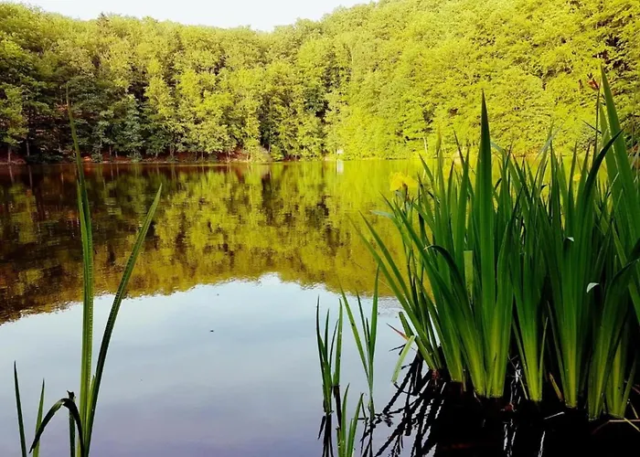 Tatil Evi Charmantes Mit Naturgarten Unterweid